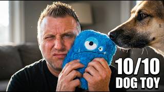 HONEST REVIEW Of This Squeaky Plush Pet Toy! screenshot 3