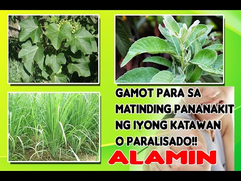 WOW! GAMOT SA PATINDING PANANAKIT NG KATAWAN,, PARALISADO O PASMO SA KUSOG. STEP BY STEP