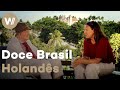 Documentário retrata a invasão holandesa e herança cultural de Maurício de Nassau no Brasil