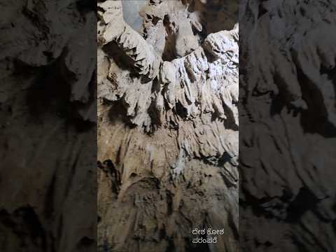 ಬೇಲಂ ಗುಹೆಗಳು(ಪಾರ್ಟ್ 7)Belum caves(Part 7)#andhrapradesh#nandyala#kolimigundla#deshakoshaparampare