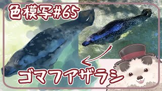 【一緒にお絵描き】色模写の火曜日＃６４【まったり朝活】