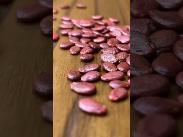Кримсон Світ якісне насіння кавуна від Innova Seeds Co, USA, California 🇺🇸