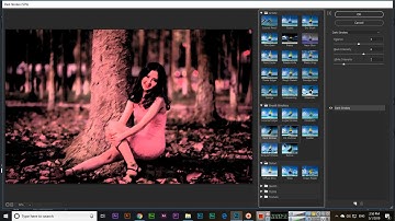 Filter Gallery - Adobe Photoshop CC 2019