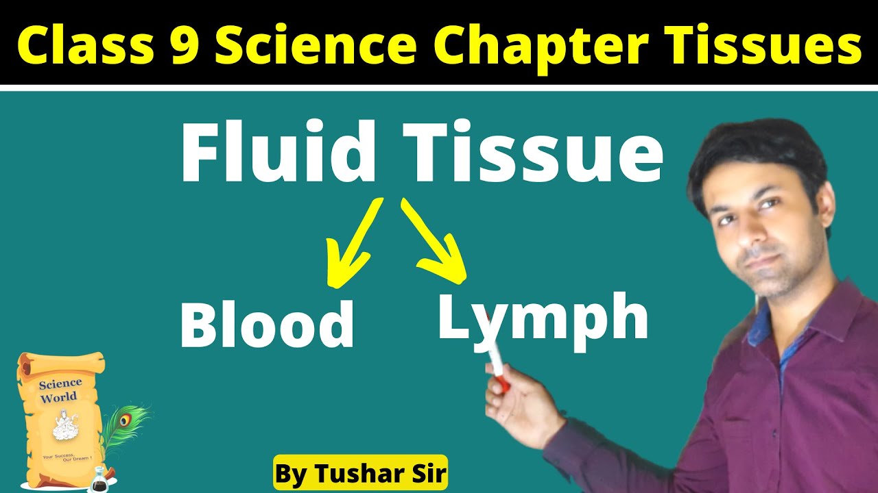 Vascular tissue What is the function of vascular tissue? Fluid
