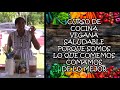 Curso de cocina vegana saludable porque somos lo que comemos comamos de lo mejor por nely h acosta