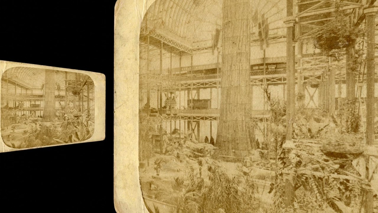 (VR 3D image) The Mammoth Tree, Crystal Palace, London ~1862
