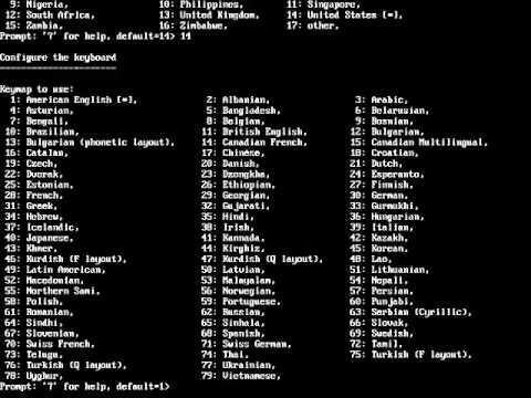 Kali Linux Accessibility Installation Options