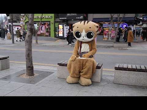 JHKTV] 신촌 명물고양이 결혼식재미(노래)  shin chon special cat  <strong>Wedding</strong> Fun(<strong>song</strong>)