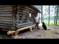Saving an Old Log Cabin in the Woods | (WITH A DOG!!!)