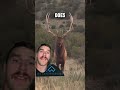 They call him the chuckler #bowhunting #bowhunter #elk #elkhunting #archery #hunting #nature #animal