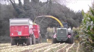 Ensilage Maïs 2015 - Bretagne - Corn Silage