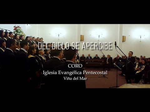 DEL CIELO SE
