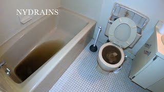 Clogged Drain #231 by NYDRAINS - The Original 49.95 Any Sewer or Drain 24,453 views 11 days ago 6 minutes, 42 seconds