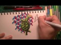 Geometric Terrapin Turtle Time-Lapse Drawing with Funk Music