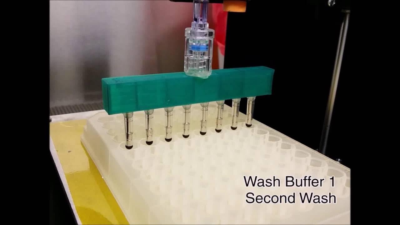 Wash buffer. Wash buffer