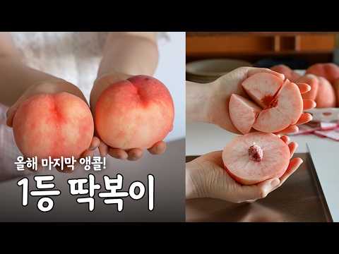 달콤아삭 1등 딱복이, 복숭아는 이런거 드세요🍑#앵콜오픈