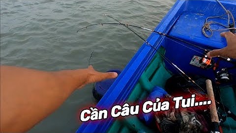 Lên liên tiếp 3 con Cá Ngát kéo sướng tay | GĐCG #682