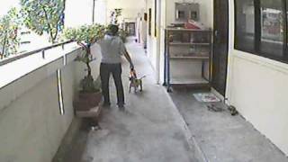Littering - 06-03-09
