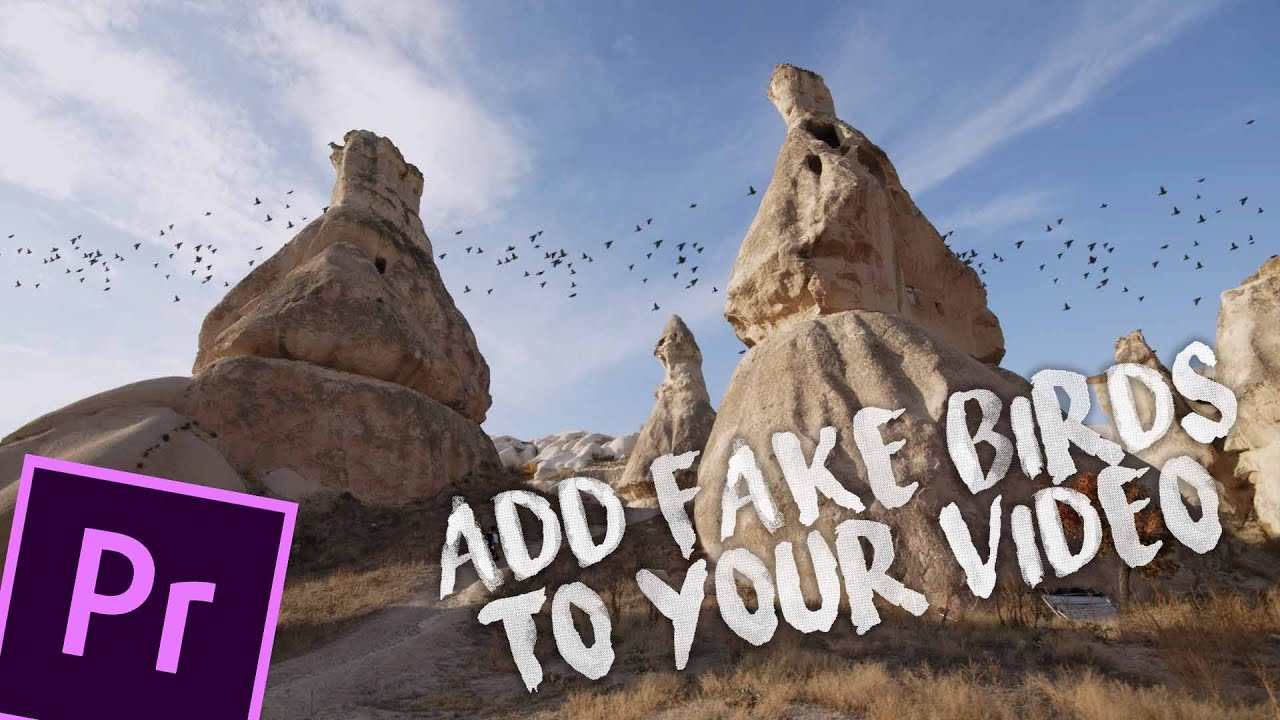 How to add fake birds to your video Premiere Pro 2020 YouTube