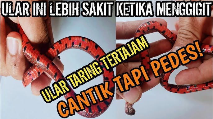 Yalangoch erkaklar va qizlarning fotosuratlari Sipaylovo jinsiy aloqa