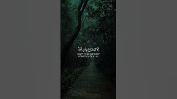 أكتب شيء يكون في ميزان ⚖️ حسناتك ❤️ #تلاوة_خاشعة #قرآن_كريم_راحة_نفسية