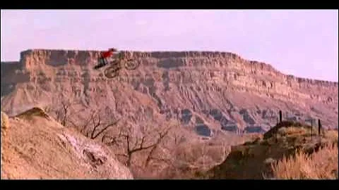 New World Disorder 7 flying high again