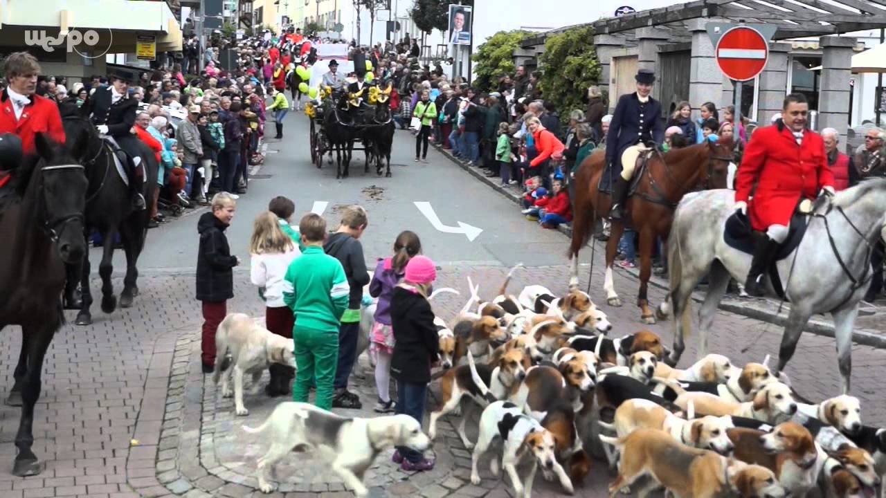 CHI Donaueschingen 2013 (Festumzug)