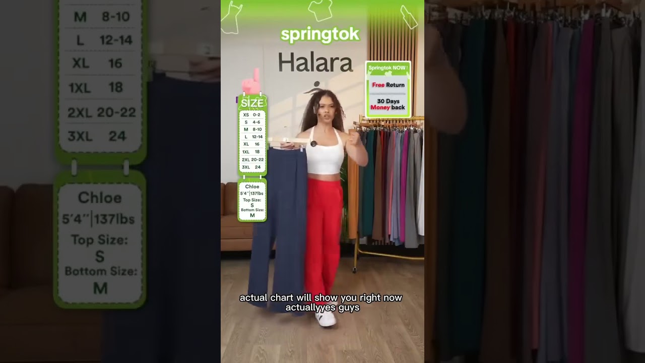 Halara Flex High Waisted Plicated Side Pocket Pants 