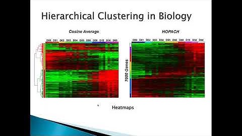Fast Interactive Genomics Data Visualization in AltAnalyze