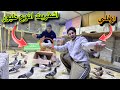 بلشت مشروع تربيه الحمام اشتريت انواع الطيور 