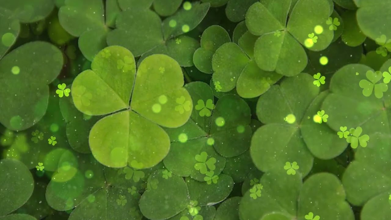 A LITTLE "LUCK" - A LOT OF YOU