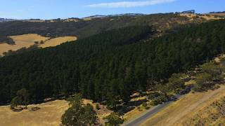 Second Valley Forest - Ingalalla Falls