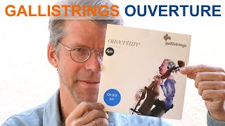 Gallistrings Ouverture For Double Bass - String Review