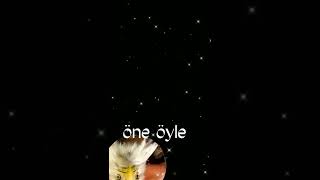 Kanarya Sarı Lacivert