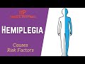 Hemiplegia | Causes, Risk Factors of Hemiplegia | In Hindi | Mera Physio