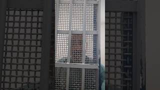Jailed in Cyprus - Demand Release