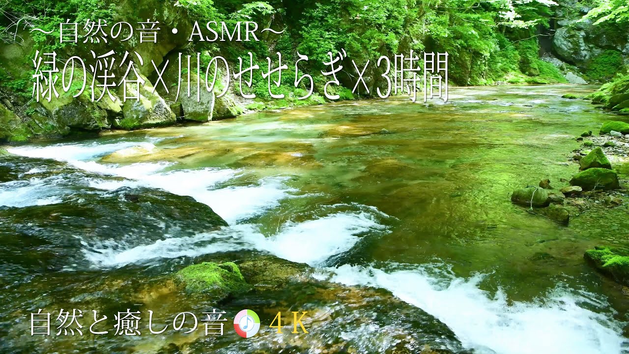 【自然の音・ASMR】癒される水の音、川のせせらぎ、ストレス、睡眠、自律神経を整える、疲労軽減、癒し、リラックス、作業用BGM/River ...
