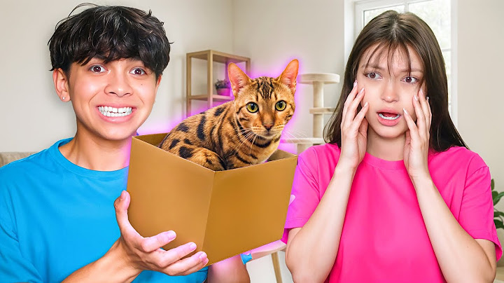 Surprising My Crush with Her Cats...