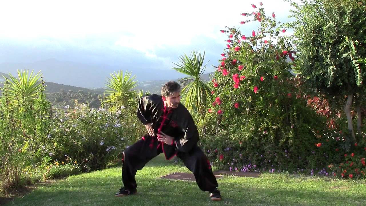 Ng Lun Ma de Choy Lee Fut (Primera Parte)