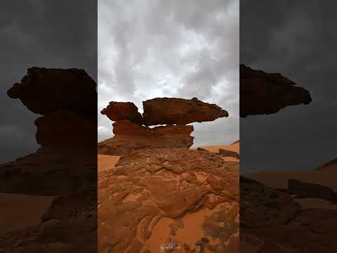 لقطات من بقعاء