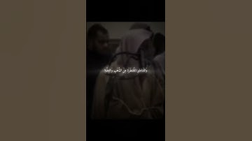 الشيخ القارئ محمد اللحيدان سورة ال عمران #اكسبلور #المصحف #تيك_توك #voiceeffects #لايك #دويتو #قرآن