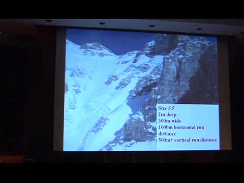 Chickadee Valley Avalanche Accident - Winter 2007/...