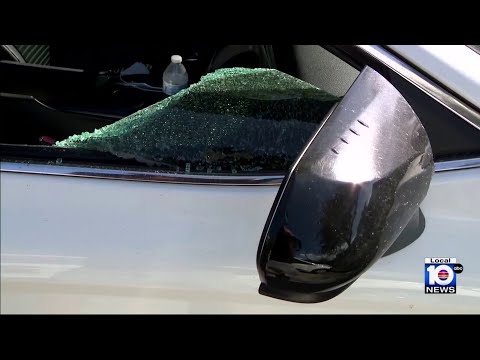 Police investigate around 2 dozen car burglaries in Miami Beach