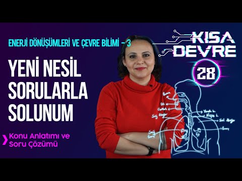 Oksijenli, Oksijensiz Solunum ve Fermantasyon | 8. Sınıf Fen Enerji Dönüşümleri - 3 | Ders #28