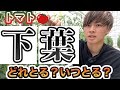 【トマト】下葉をとるタイミング.取り方.残す枚数について。成長させよう！