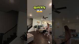 Hero Dog Senses Seizure Seconds Before It Happens! 🐕❤️
