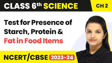 Class 6 Science Ch 2 | Test for Presence of Starch, Protein & Fat in Food Items - Components of Food