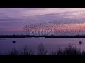 high frequency Sound for the soul