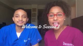 Session 2: How to Study (College, Masters, Dental School Tips)