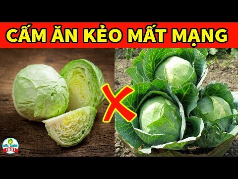 Video: Đốm đen Của Bắp Cải